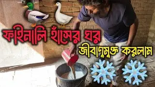 আলহামদুলিল্লাহ, ফাইনালি হাঁসের ঘর জীবাণুমুক্ত করলাম 🦆 | Duck House Cleaning | MashaAllah Agro