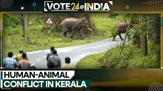 Lok Sabha Polls 2024: How is human-animal conflict affecting political landscape in Kerala? | WION