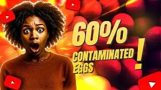 Kenya&rsquo;s Egg Crisis | Why Liquid Eggs Are the Safer Future | On Air with Caleb Koyo
