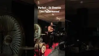 Perfect - Ed Sheeran Live Performance Cover #hkmusic #cover #livemusic #liveband #edsheeran