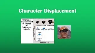 Character Displacement Review (BI 107)