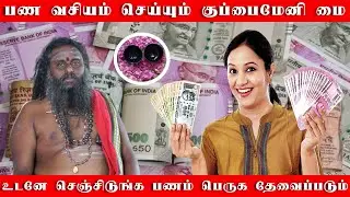 பண வசியம் செய்யும் குப்பைமேனி அஞ்சன மை | இந்த மை வச்சா உங்கள் பொருளாதாரம் உயரும்