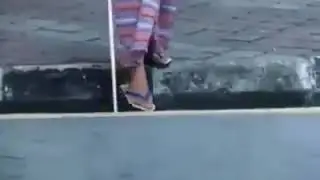 Monkey helps a blind women to cross the road