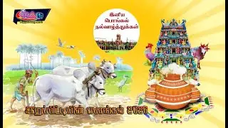🔴LIVE புங்குடுதீவு இறுப்பிட்டியின் பொங்கல் விழா 2026