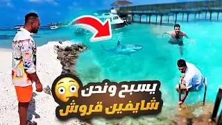 يسبح ونحن شايفين قروش ! 😳🏝️