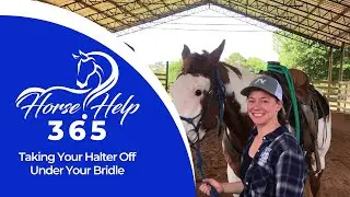Taking Your Halter Off Under Your Bridle | Horse Help - Michael Gascon