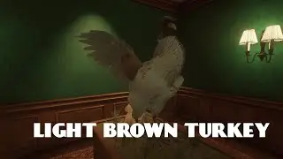 Light Brown Turkey | Call of the Wild