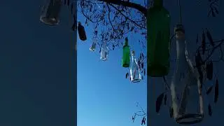 Chris Tilton-Messages in Bottles #music #fromily #bottletree #nature #from #fromseries
