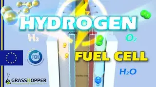How Hydrogen Fuel Cell Work? - Grasshopper Project