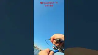 #釣り #fishing #ショアレッド #ダイソー #マダイ #insta360acepro2 #shorts #shortvideo