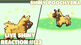 RANDOM SHINY POOCHYENA?? | Live Shiny Reaction #123
