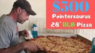 $500 Pointersaurus 28