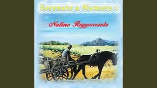 Bellu pitturi