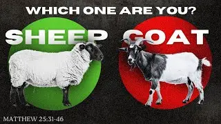 The Separation of the Sheep & the Goats | November 9, 2025