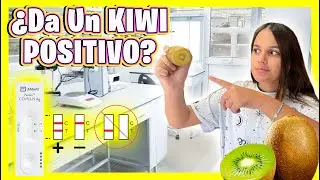 ¿Da POSITIVO Un KIWI a Una PCR?  ¿VERDAD o MENTIRA? ¿POSITIVO o NEGATIVO? #hifamilyteam