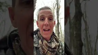 Plants ALL Deer Hunters Should Know About - Beginner Hunting Tips