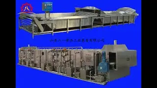 Industrial Pasteurization Blanching Drying Line