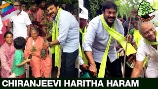 Chiranjeevi Plants Trees for Haritha Haram Program | #HarithaHaram | Telugu Filmnagar