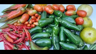 August Garden Chores And Harvest | Small Space Backyard Garden Harvest