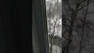 14 апреля 2020 г.