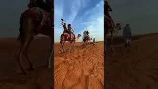 Camel ride experience at Dubai Desert Safari