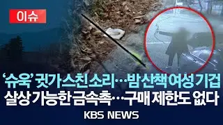 [이슈] 산책 중 날아든 금속 물체에 온몸이 굳었다&hellip;용의자 2명 추적/2026년 1월 8일(목)/KBS