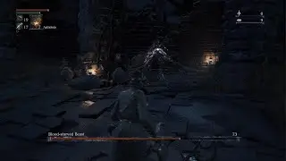 Bloodborne Blood-starved Beast battle.