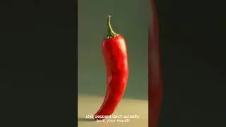 This Chili Is Lying to Your Brain 🔥#food #life #travel #shorts #didyouknow #trending #nature#fact