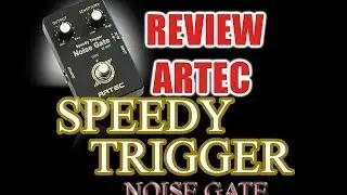 Review Artec Noise Gate