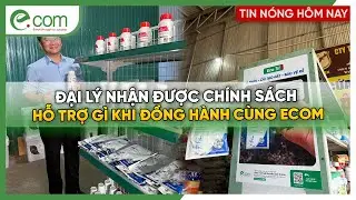 Ch&iacute;nh S&aacute;ch Hỗ Trợ Cho Đại L&yacute; Ecom