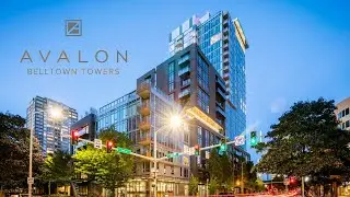 Avalon Belltown Towers | 1 BR 1 BA 670 sq ft, Tier I Scheme, Unit 524