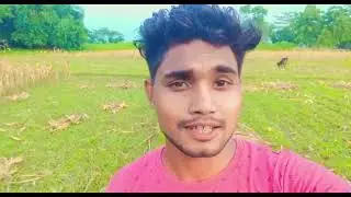 মনটা কী সবার উপরে বসে ❤️🥀❤️ #bongguy #chinaban #bongmomindia #bongmedia #dolldoll