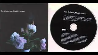Brett Anderson - In The House Of Numbers