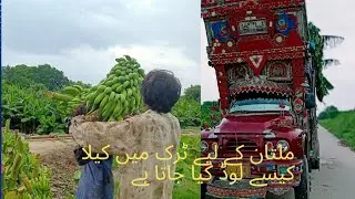 How are bananas loaded in a truck for Multan#fruit market
