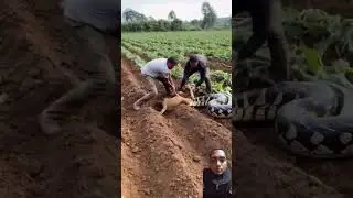 #funny video