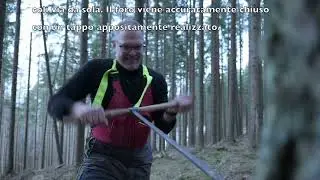 Resina di Larice l Larg&aacute; I Balsamo di larice