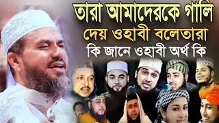 তারা আমাদেরকে গালি দেয় ওহাবী বলেতারা কি জানে ওহাবী অর্থ কি।। মোস্তাক ফয়েজী পীর সাহেব ওয়াজ ২০২৫