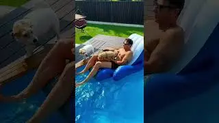 Хорошо дома ❤️ #стаскостюшкин