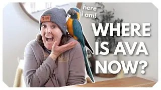 Ava Update! How is she doing in her new home?
