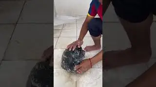 Can this safety helmet be made valuable? Let&rsquo;s clean it 😅🥶