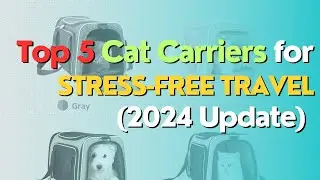 Top 5 Cat Carriers for Stress-Free Travel (2024 Update)