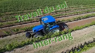 Travail du sol inter rang rotative vigne 2024
