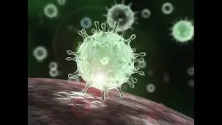 LIVE: Tracking Coronavirus Cases in Florida