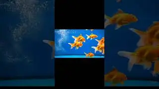 🎉 Let's Party with Numbers! 13, 14, 15! 🎈#shorts #kidslearning #preschool #kindergarten  #13 #14 #15