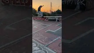 Sheldon Skate Park