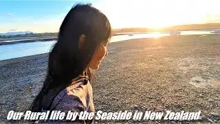 Our Rural life by the Seaside in New Zealand~Clay Tall Stories. SV67