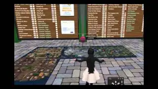 Second Life Nonprofit Commons