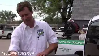 EcoSafe Pest Control Yellow Page Ad