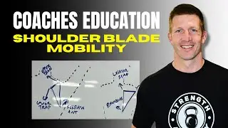 Shoulder Blade Mobility Explained for Coaches
