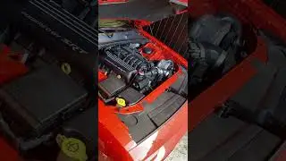 Encontrei um Doj&atilde;o &uacute;nico aqui no Brasil! #dodge #shorts #automobile